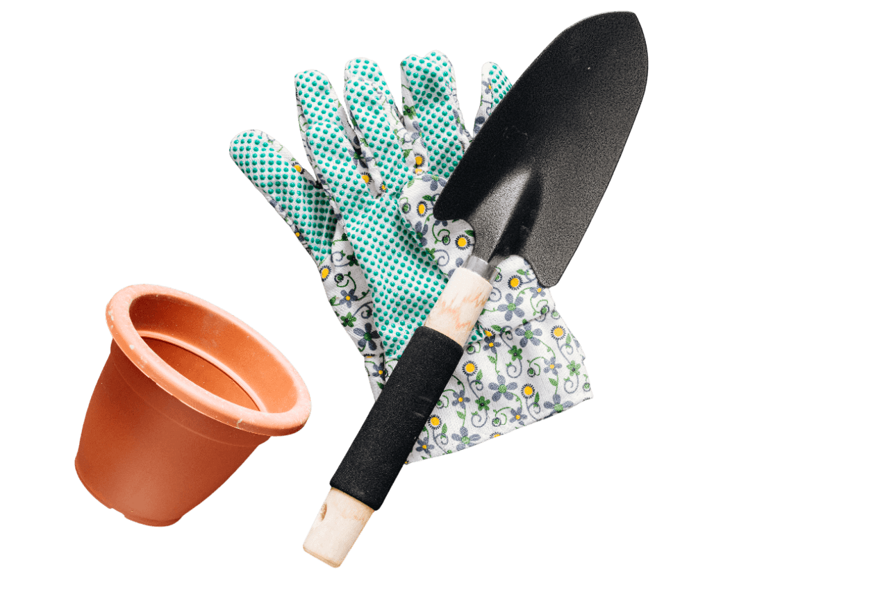 Gardening tools collection
